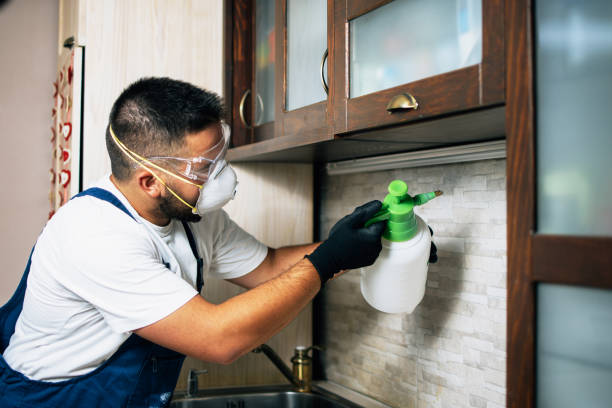 Pest Prevention Services in Guadalupe, CA