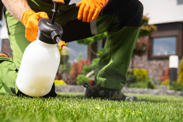 Best Pest Control for Restaurants  in Guadalupe, CA
