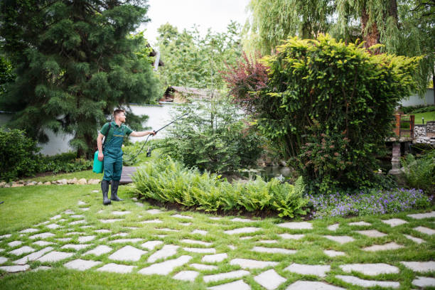 Best Residential Pest Control  in Guadalupe, CA