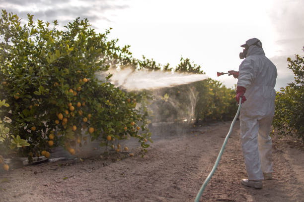 Best Best Pest Control Companies  in Guadalupe, CA