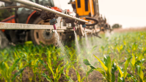 Best Commercial Pest Control Services  in Guadalupe, CA