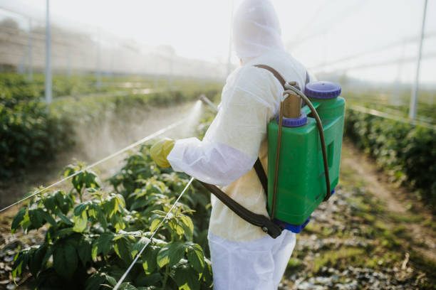 Best Cockroach Control Services  in Guadalupe, CA